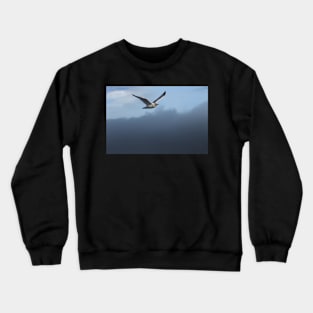 Flying about the Fog Crewneck Sweatshirt